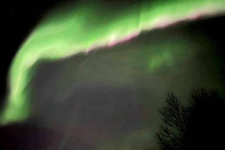 Zorza polarna prywatna wycieczka Rovaniemi