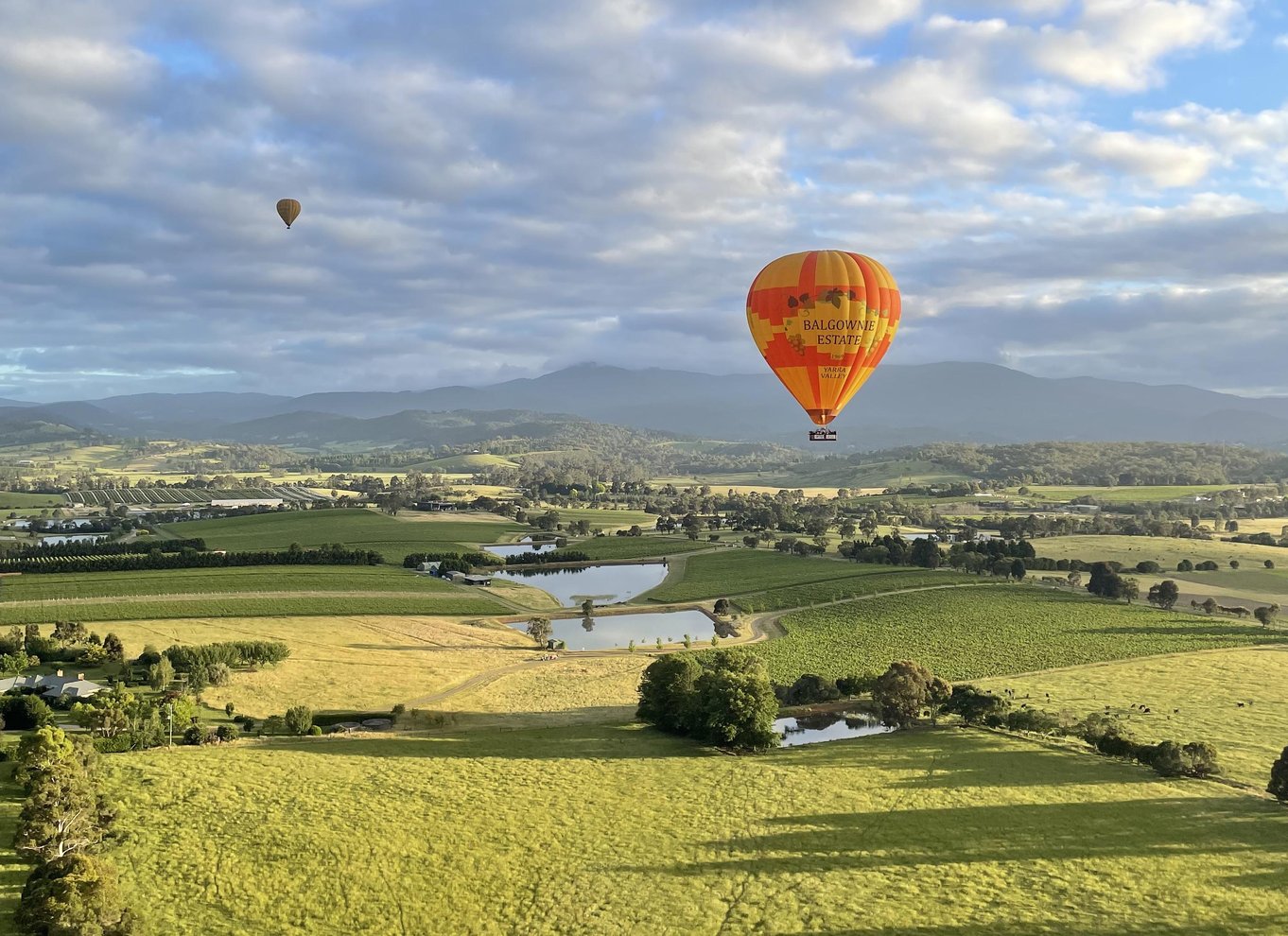 Yarra Valley: Luftballonflyvning og morgenmadsbuffet