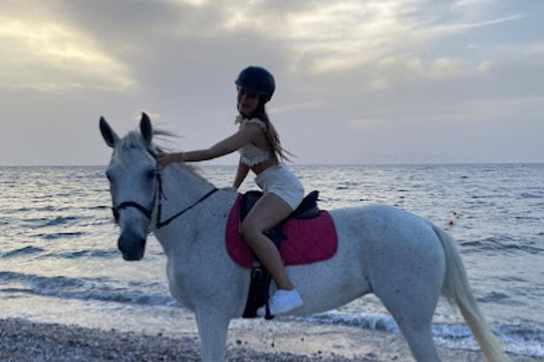 جزيرة رودس: ركوب الخيل على الشاطئ عند غروب الشمس