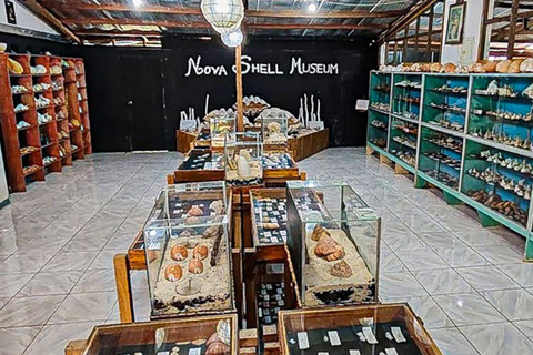 Bohol: PRIVATE Panglao Land Tour Panglao Land Tour (with Taxi/Minivan)