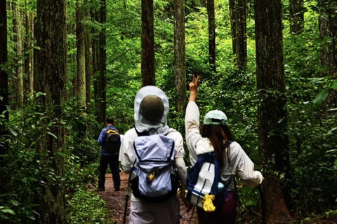 Hangzhou: Qiandao Lake Forest & Kayak Private Day Trip
