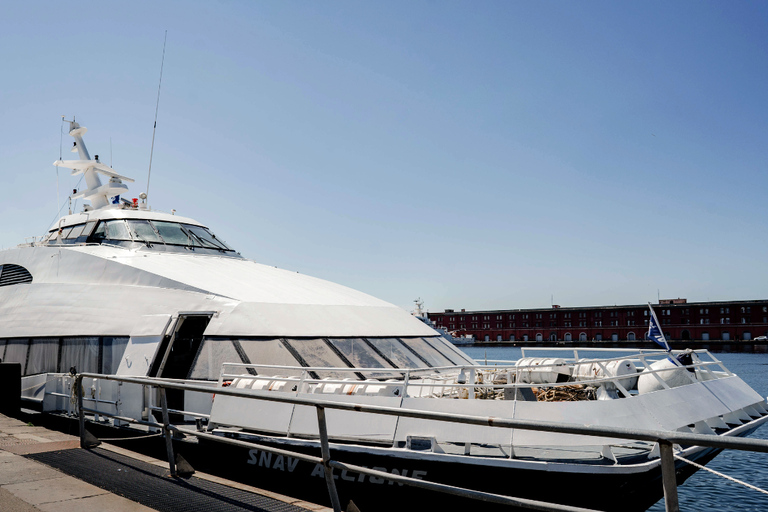 Naples: Fast Ferry Journey Between Naples and Procida Island Same-day Round-trip From Naples to Procida Island