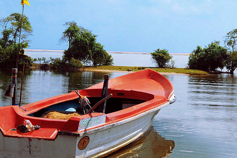 Madu River Boat Safari | Scenic Madu Ganga, minnesvärd turné