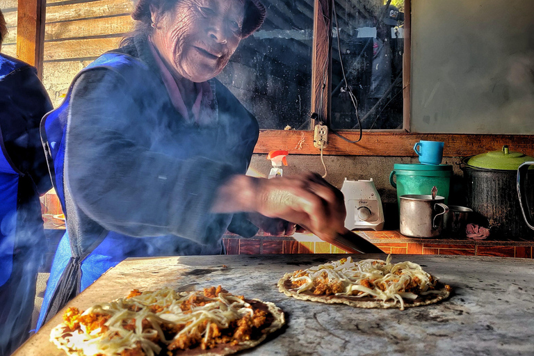 Oaxaca: Hiking in the Sierra Norte Forest