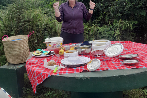 Arusha: Kilimanjaro Foothills Day Tour with Hot Springs