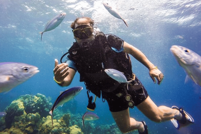 Private Catalina Island Beginner Scuba Adventure