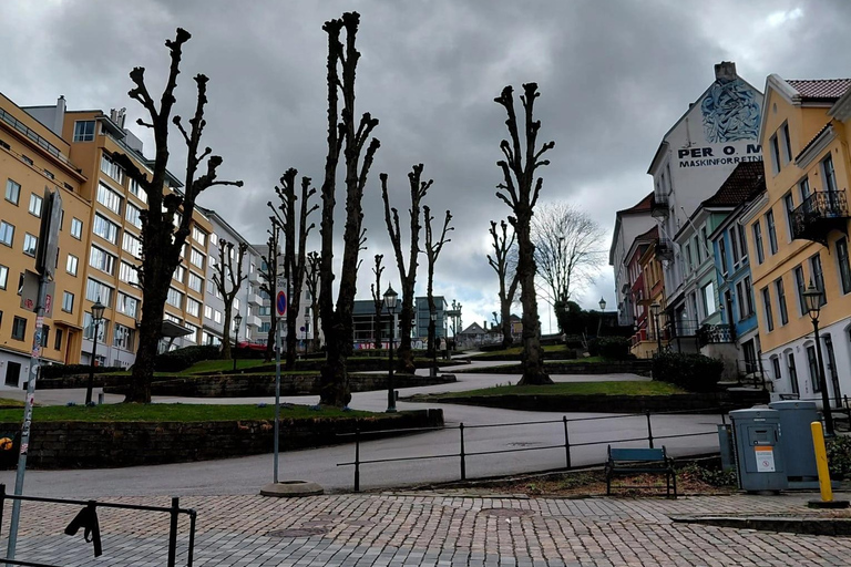 Bergen: Private Bryggen, Funicular, & Fjord Secrets Tour