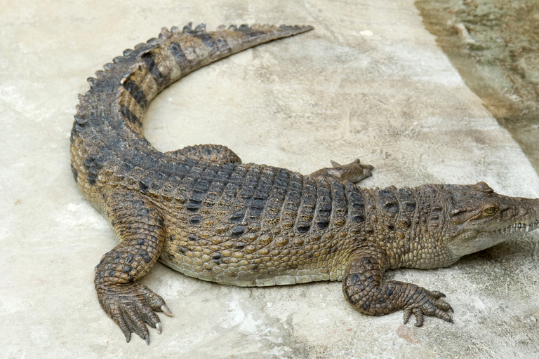 Łódź: City Highlights Private Tour & Orientarium Zoo Visit