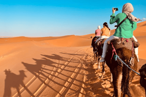 Fes to Marrakech: 2Day Desert trip Luxury camp, quads, meals Return Marrakech: Private Luxury Tent Ensuite Bathroom & AC