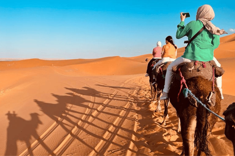 Fes to Marrakech: 2Day Desert trip Luxury camp, quads, meals Return Marrakech: Private Luxury Tent Ensuite Bathroom & AC