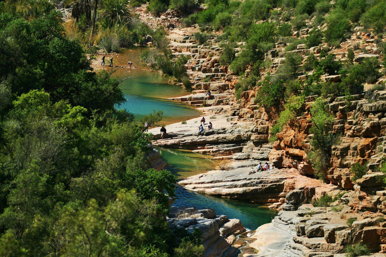 Agadir: Paradise Valley Oasis & Atlas Mountains Early Tour