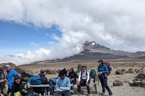 Kilimanjaro Trekking: 9 Days Northern Circuit Route