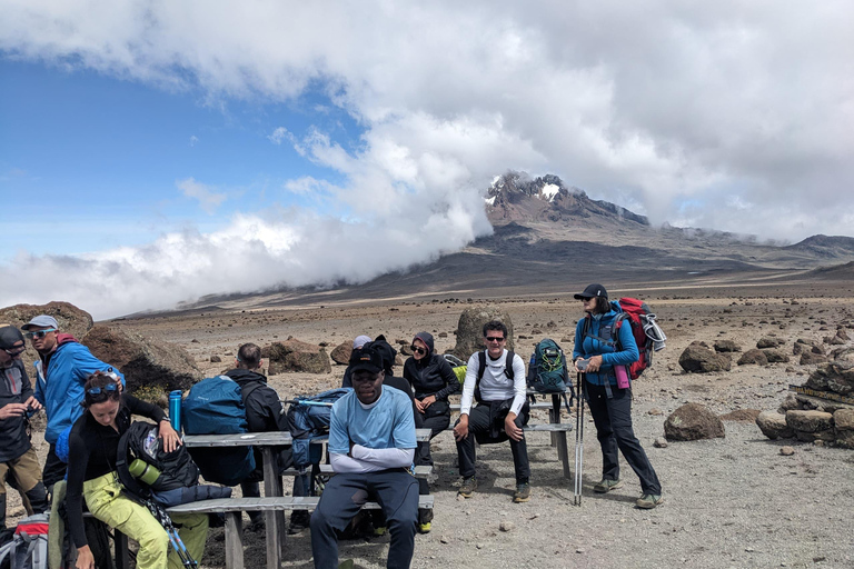 KILIMANJARO TREK : 9-DAYS NORTHERN CIRCUIT ROUTE