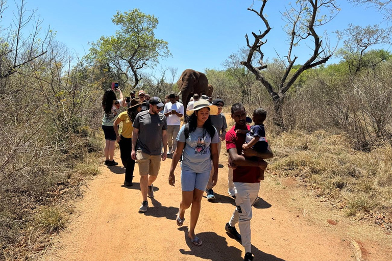 Johannesburg : Safari à l&#039;éléphant, à cheval et au lion