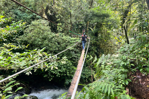 Jakarta: Regenwaldwanderung zu Wasserfall und HängebrückeKurze Wanderung (1,5 km)