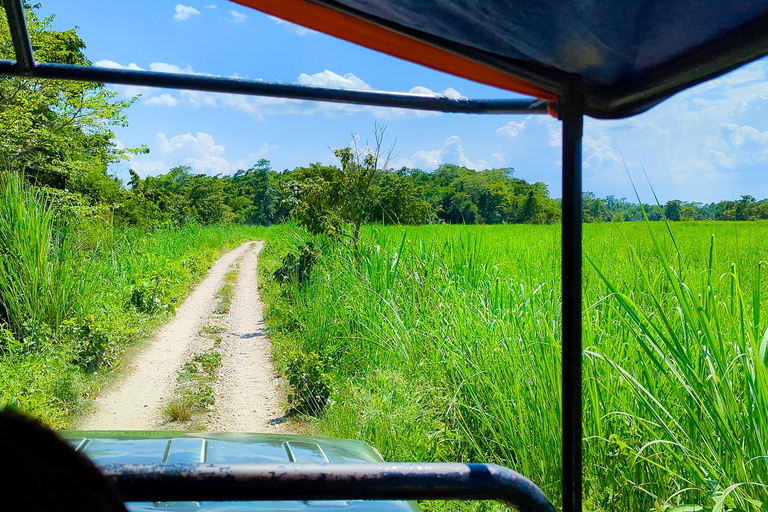 Chitwan: Jungle Safari with Wildlife & Cultural tour 3-Days