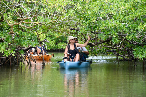 From Naples, FL: Marco Island Mangroves Kayak or Paddle Tour Easy Ride Pedal Kayak Tour