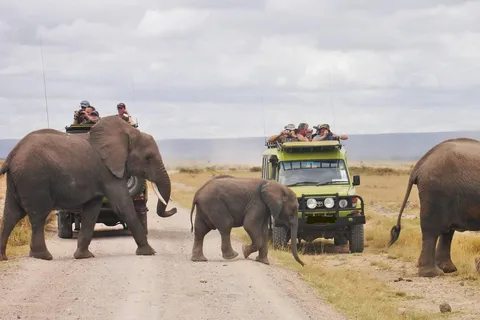 8 days Spectacular Tanzania Northern Circuit Wildlife Safari