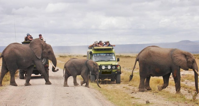 3 Days Masai Mara Game Reserve Wildlife Safari From Nairobi