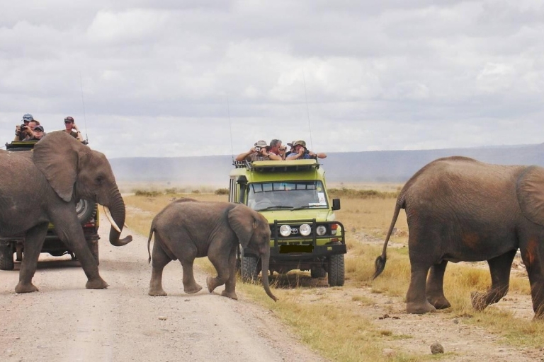 Safari de 3 jours à Tsavo Est et Ouest depuis Mombasa en Jeep 4x4