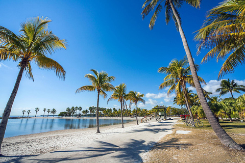 Miami: Private City Tour with Little Havana & South Beach
