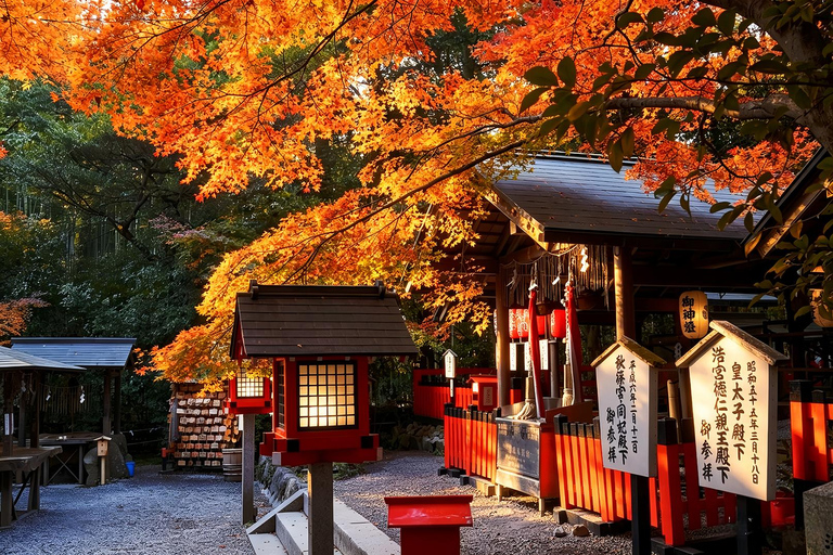 Kyoto: Arashiyama, Sanzen-in & Kifune Shrine Day Trip Departure from Osaka (Basic Package)