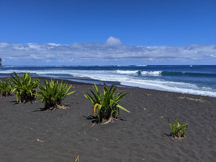 Tahiti : excursion panoramique d'une demi-journée partagée autour de l'île