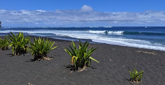 Tahiti: Shared Half-Day Circle Island Scenic Tour