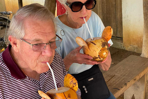 Colombo: Cruise Shore Excursion by Tuk Tuk & Tea Tasting