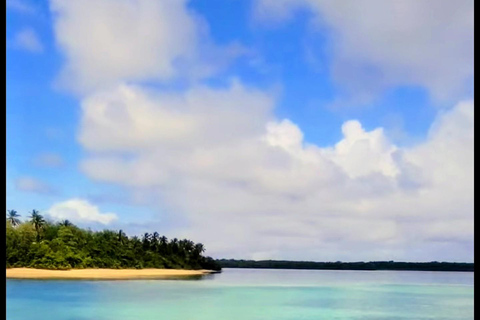 Tour por el arrecife de Buccoo y Nylon Pool con el capitán PhillipsTour en barco por Buccoo Reef con el capitán Phillips