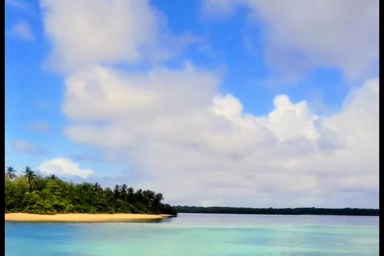 Tour por el arrecife de Buccoo y Nylon Pool con el capitán PhillipsTour en barco por Buccoo Reef con el capitán Phillips