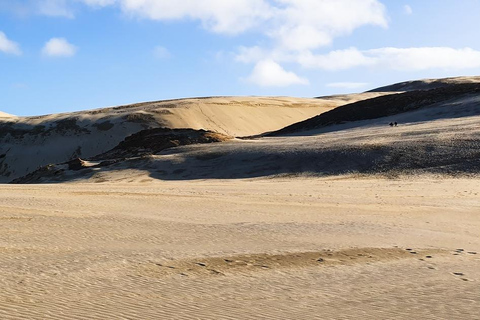 Cabo Reinga: excursión de un día desde Paihia, Kerikeri o Kaitaia