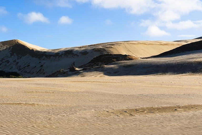 Cabo Reinga: excursión de un día desde Paihia, Kerikeri o Kaitaia