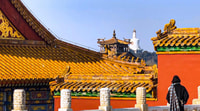 Highlights of the Forbidden City Walking Tour - Housity
