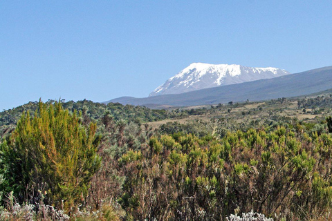 9 days Mt Kilimanjaro, Ngorongoro, Serengeti national park