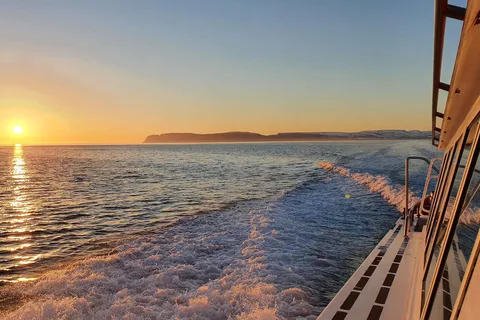 Ísafjörður: Midnight Whale Watching Tour with Hydrophone
