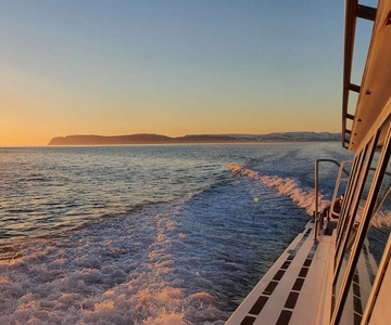 Ísafjörður: Midnight Whale Watching Tour with Hydrophone