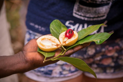 FROM NUNGWI: PRISON ISLAND, STONE TOWN AND SPICE FARM TOUR