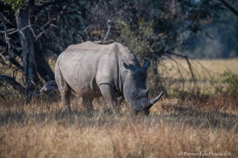 Parc national de Mosi-oa-Tunya, safari et courte promenade pour les rhinocéros