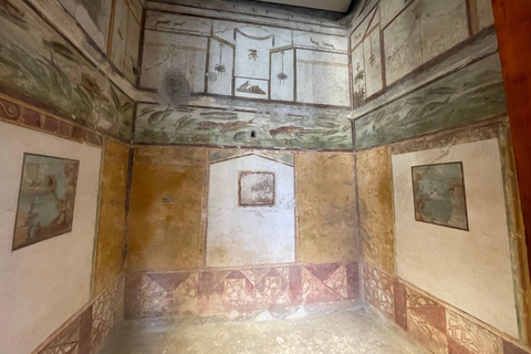 Pompeii Guided Tour