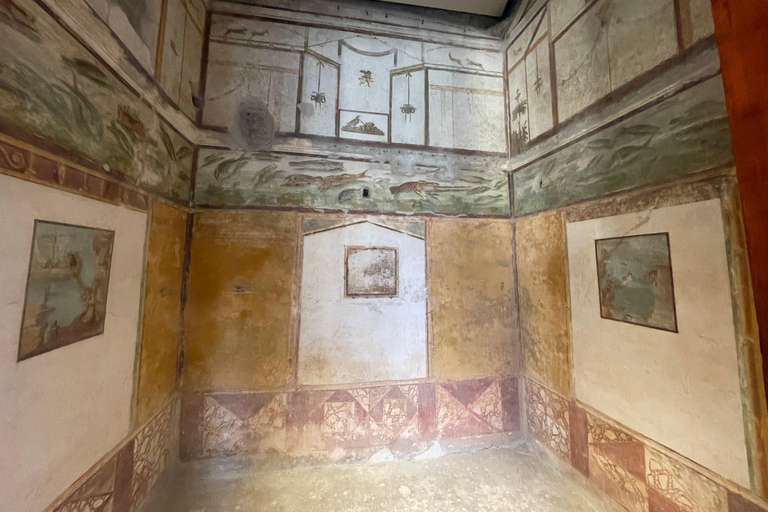 Pompeii Guided Tour