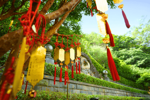 Taipei: Zoo, Maokong Gondola, and Experience Ticket