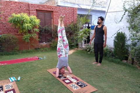 斋浦尔：传统印度瑜伽体验传统印度瑜伽体验 + 接送服务