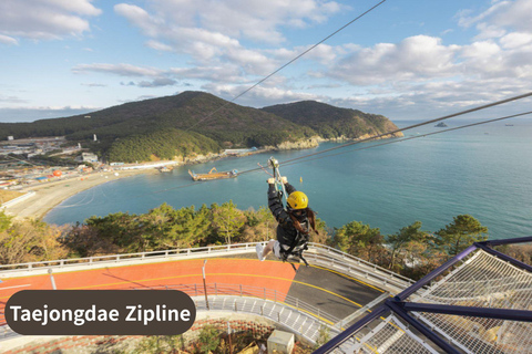 Busan: Highlights Tour with Zipline & Cable Car with Lunch
