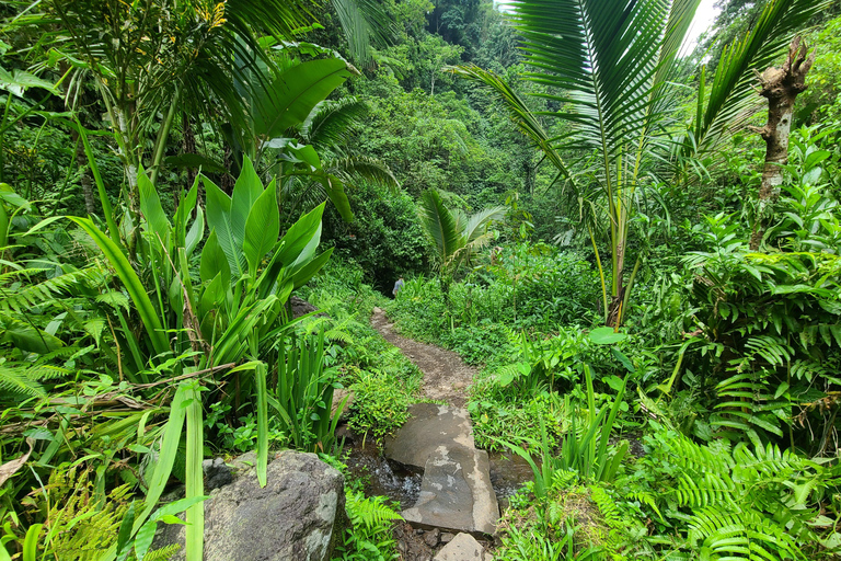 Bali Hidden Trekking, Wasserrutsche, Sekumpul, &amp; Fiji WasserfallAbholung vom Hotel und Rücktransfer zum Hotel inbegriffen