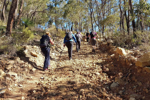 Perth : Randonnée d&#039;endurance au ruisseau Piesse