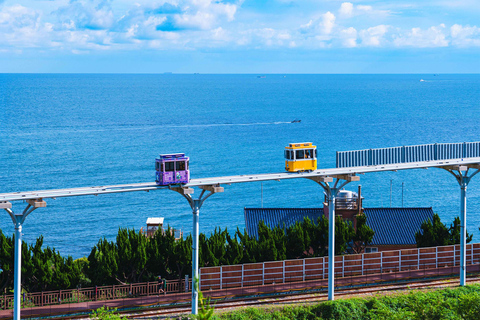 Busan Day Tour from Daegu:6 Highlights with Gamcheon Village Daegu ➔ Daegu Drop-off