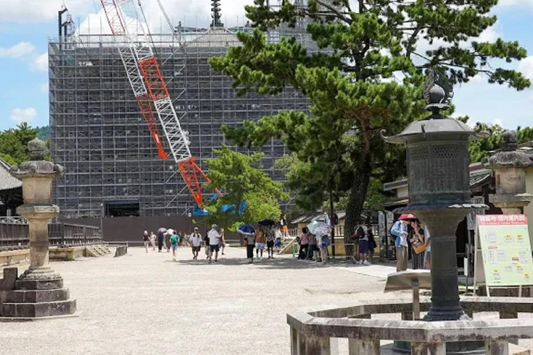 جولة ليوم واحد في نارا وأوجي - التركيز على ثقافة الراحة في كيوتوجولة ليوم واحد في نارا وأوجي - راحة ف