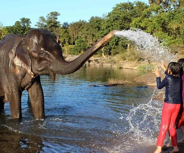 From Delhi: Taj Mahal Sunrise Tour w/ Elephant Conservation