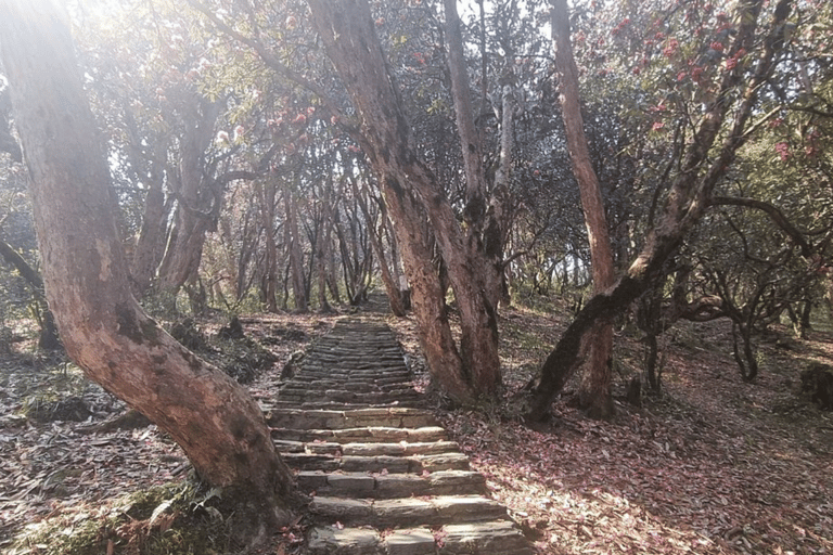 导游陪同戈雷帕尼普恩山徒步之旅戈雷帕尼-普恩山徒步之旅